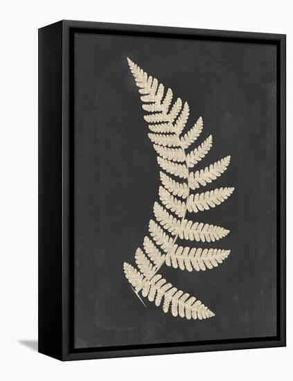 Linen Fern IV-Vision Studio-Framed Stretched Canvas