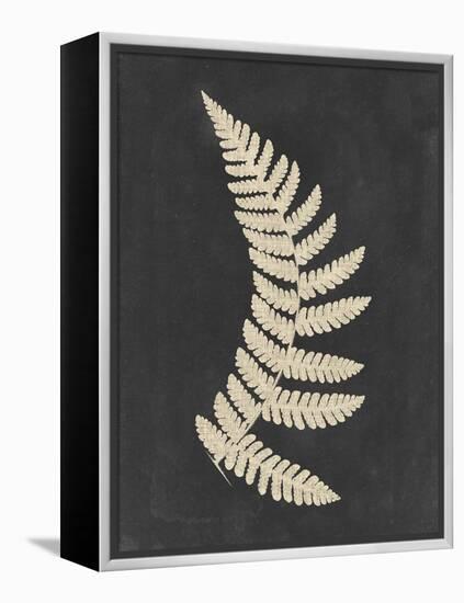 Linen Fern IV-Vision Studio-Framed Stretched Canvas