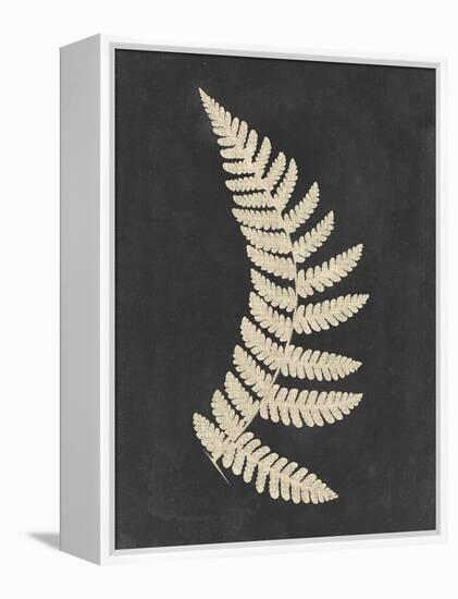 Linen Fern IV-Vision Studio-Framed Stretched Canvas