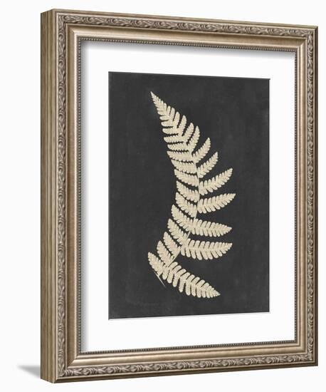 Linen Fern IV-Vision Studio-Framed Premium Giclee Print