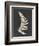 Linen Fern IV-Vision Studio-Framed Premium Giclee Print