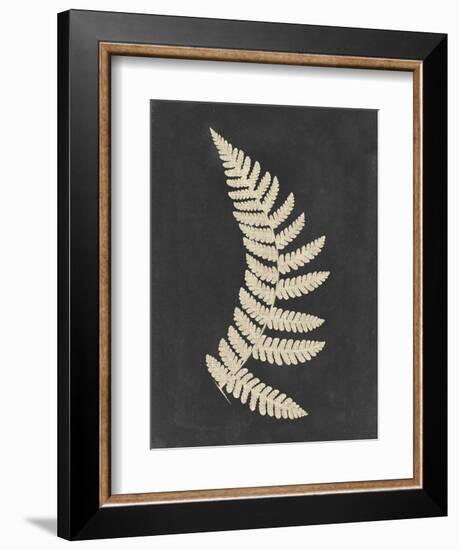 Linen Fern IV-Vision Studio-Framed Premium Giclee Print