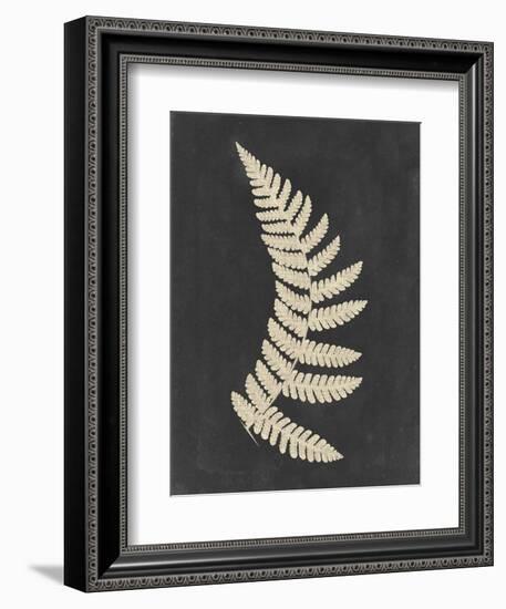 Linen Fern IV-Vision Studio-Framed Premium Giclee Print