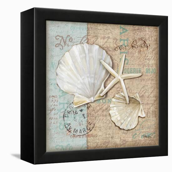 Linen Shells I-Paul Brent-Framed Stretched Canvas