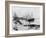 Liners of the Messageries Maritimes at Saigon, circa 1900-null-Framed Giclee Print