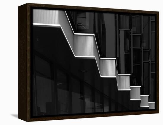 Lines and Contrast-Olavo Azevedo-Framed Premier Image Canvas