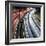 Lines And Curves-SD Smart-Framed Photographic Print