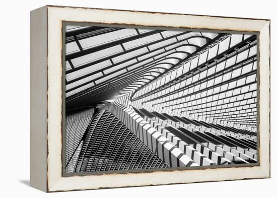 Lines in Liege-Jeroen Van-Framed Premier Image Canvas