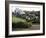 Lines of Menec, Carnac, Brittany, France-Adam Woolfitt-Framed Photographic Print