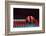 Lines-Heidi Westum-Framed Photographic Print