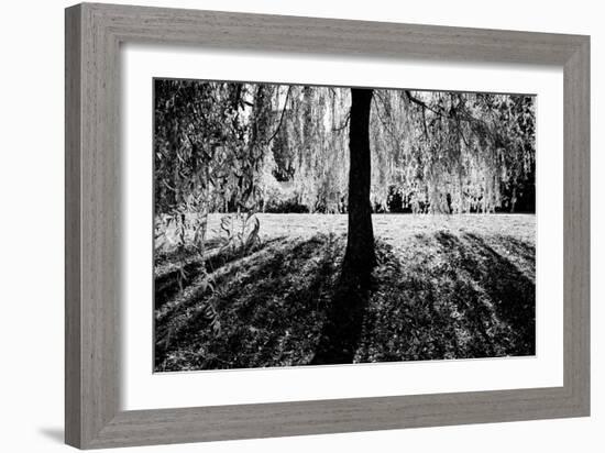 Linger-Sharon Wish-Framed Photographic Print