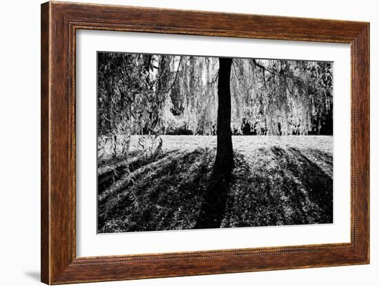 Linger-Sharon Wish-Framed Photographic Print