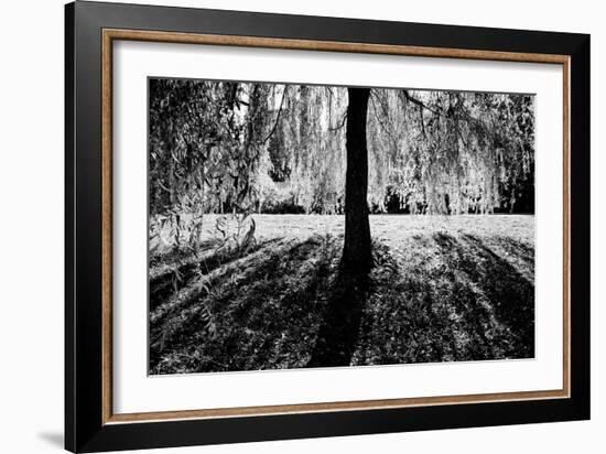 Linger-Sharon Wish-Framed Photographic Print