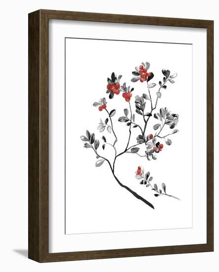 Lingonberry Branch-null-Framed Giclee Print
