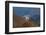 Lingzhi Dzong, a Spectacular Site on the Laya-Gasa Trek, Thimpu District, Bhutan, Asia-Alex Treadway-Framed Photographic Print