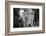 Lining up for food at mealtime in the camp for flood refugees, Forrest City, Arkansas, 1937-Walker Evans-Framed Photographic Print