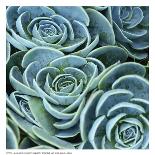 Blue Green Flora-linjerry-Art Print