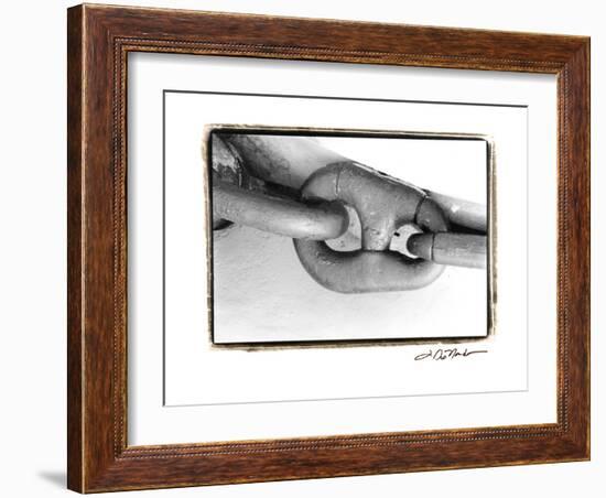 Linked Together II-Laura Denardo-Framed Art Print