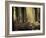 Linkset-David Baker-Framed Photographic Print