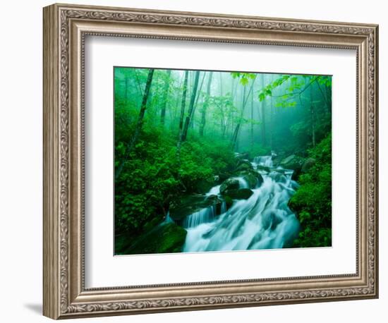Linn Cove Creek Cascading Through Foggy Forest, Blue Ridge Parkway, North Carolina, USA-Adam Jones-Framed Photographic Print