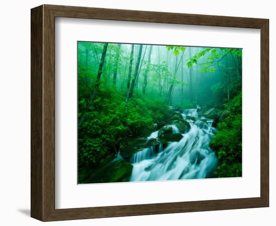 Linn Cove Creek Cascading Through Foggy Forest, Blue Ridge Parkway, North Carolina, USA-Adam Jones-Framed Photographic Print