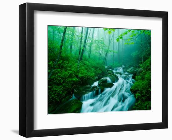 Linn Cove Creek Cascading Through Foggy Forest, Blue Ridge Parkway, North Carolina, USA-Adam Jones-Framed Photographic Print