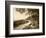 Linn Cove Viaduct, Blue Ridge Parkway National Park, North Carolina, USA-Adam Jones-Framed Photographic Print