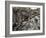 Linn of Dee, Near Braemar, Cairngorms National Park, Aberdeenshire, Scotland, United Kingdom-Gary Cook-Framed Photographic Print