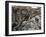 Linn of Dee, Near Braemar, Cairngorms National Park, Aberdeenshire, Scotland, United Kingdom-Gary Cook-Framed Photographic Print