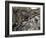 Linn of Dee, Near Braemar, Cairngorms National Park, Aberdeenshire, Scotland, United Kingdom-Gary Cook-Framed Photographic Print