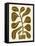 Linocut Houseplant #2-Alisa Galitsyna-Framed Premier Image Canvas