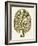 Linocut Tree-Alisa Galitsyna-Framed Giclee Print