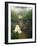 Linville Falls, Linville Gorge, Pisgah National Forest, North Carolina, USA-Adam Jones-Framed Photographic Print