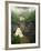 Linville Falls, Linville Gorge, Pisgah National Forest, North Carolina, USA-Adam Jones-Framed Photographic Print