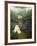 Linville Falls, Linville Gorge, Pisgah National Forest, North Carolina, USA-Adam Jones-Framed Photographic Print