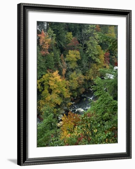 Linville Gorge and Autumnal Forest Canopy, Blue Ridge Parkway, North Carolina, USA-James Green-Framed Photographic Print