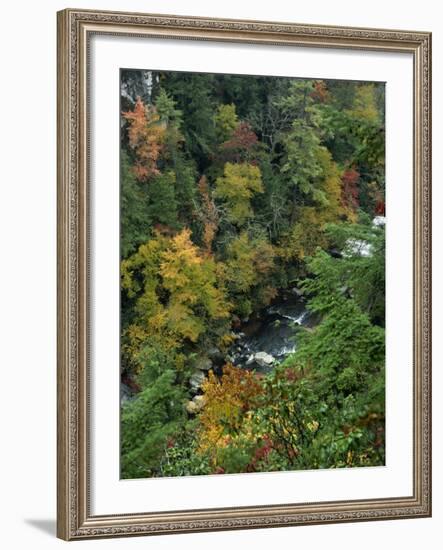 Linville Gorge and Autumnal Forest Canopy, Blue Ridge Parkway, North Carolina, USA-James Green-Framed Photographic Print