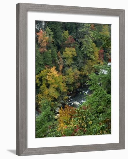 Linville Gorge and Autumnal Forest Canopy, Blue Ridge Parkway, North Carolina, USA-James Green-Framed Photographic Print