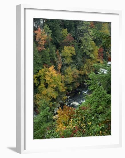 Linville Gorge and Autumnal Forest Canopy, Blue Ridge Parkway, North Carolina, USA-James Green-Framed Photographic Print