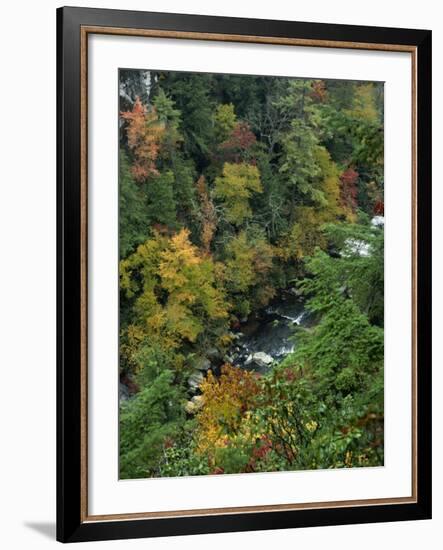 Linville Gorge and Autumnal Forest Canopy, Blue Ridge Parkway, North Carolina, USA-James Green-Framed Photographic Print