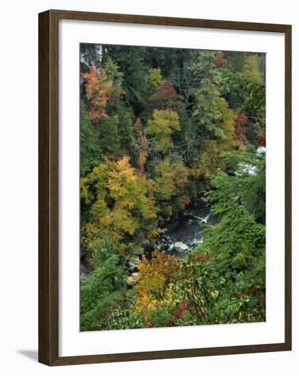 Linville Gorge and Autumnal Forest Canopy, Blue Ridge Parkway, North Carolina, USA-James Green-Framed Photographic Print