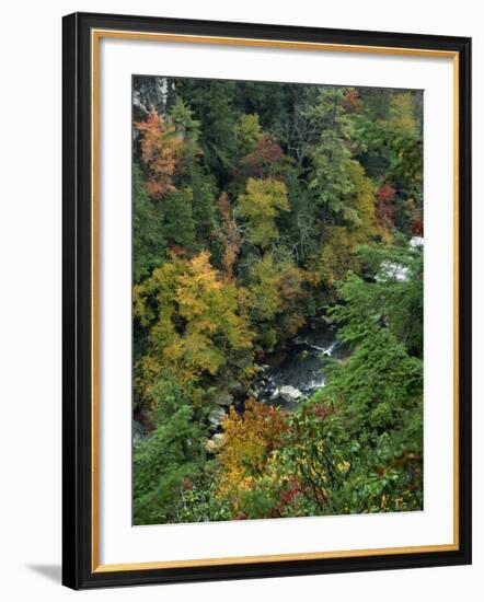 Linville Gorge and Autumnal Forest Canopy, Blue Ridge Parkway, North Carolina, USA-James Green-Framed Photographic Print