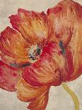Tangerine Bloom 2-Linza Bouchet-Framed Art Print