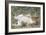 Lion 10 Week Old Cub Resting with Full Belly-null-Framed Photographic Print