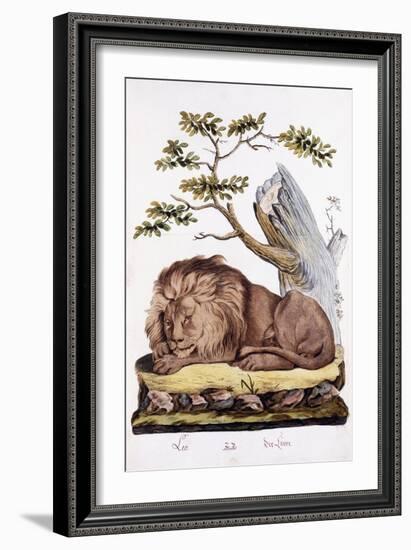 Lion, 1794-null-Framed Giclee Print