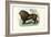 Lion, 1863-79-Raimundo Petraroja-Framed Giclee Print