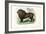 Lion, 1863-79-Raimundo Petraroja-Framed Giclee Print