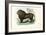 Lion, 1863-79-Raimundo Petraroja-Framed Giclee Print