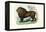 Lion, 1863-79-Raimundo Petraroja-Framed Premier Image Canvas