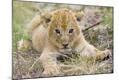 Photographic Print